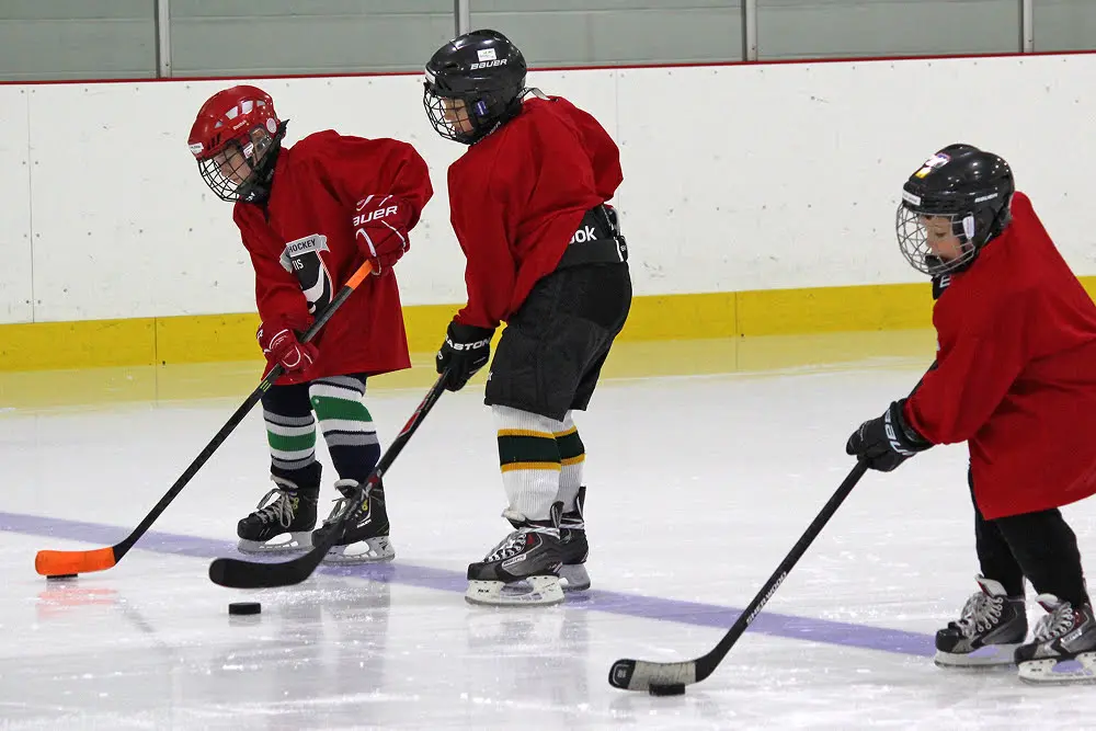 Camps journées pédagogiques